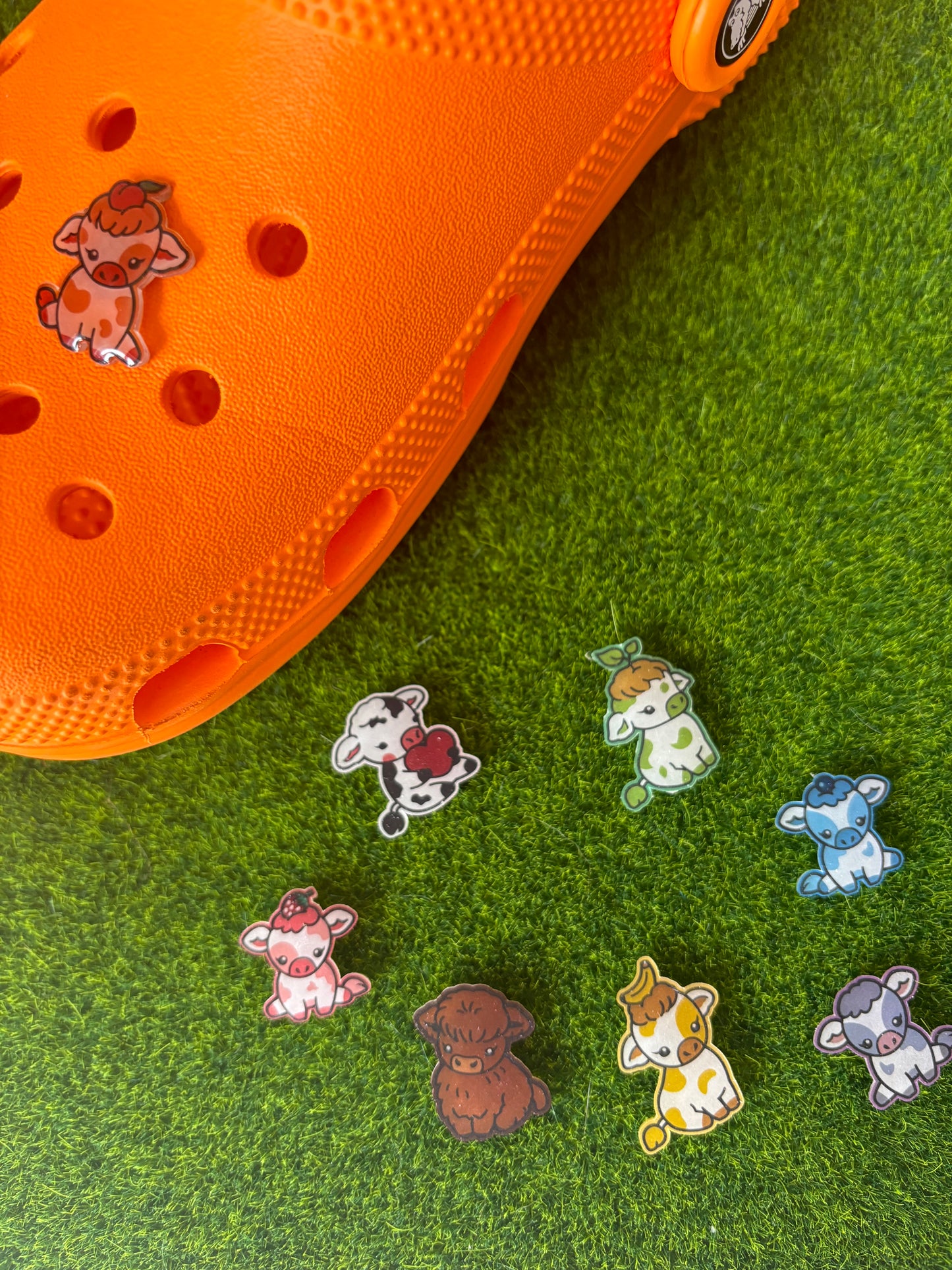 Colourful cow shoe accessories