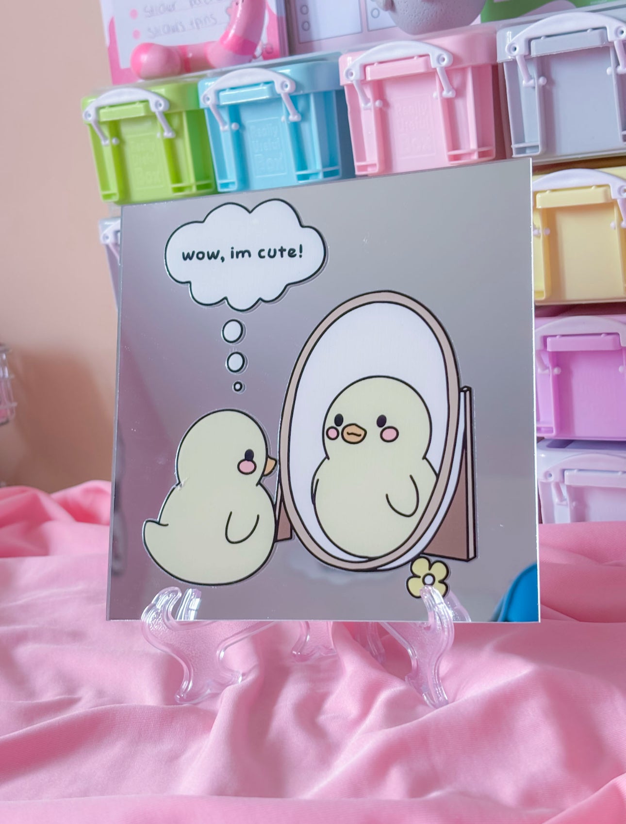 Self love duckie mirror