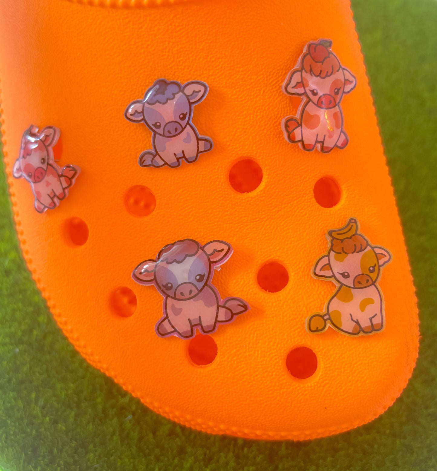 Colourful cow shoe accessories