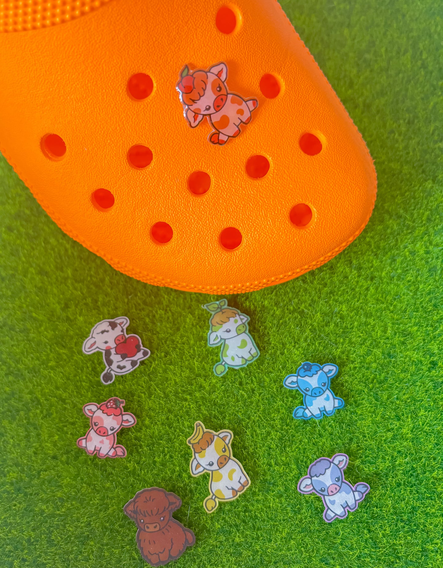Colourful cow shoe accessories
